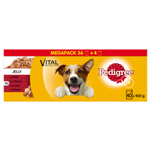 Load image into Gallery viewer, Pedigree Dog Pouches Mixed Selection in Jelly 100g x40