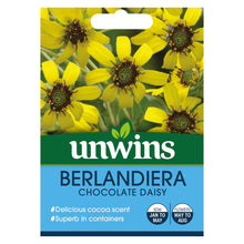 Load image into Gallery viewer, Berlandiera Chocolate Daisy