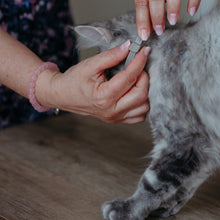 Load image into Gallery viewer, Virbac Prevexto Flea and Tick Control Collars