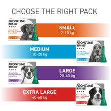 Load image into Gallery viewer, Frontline Plus Flea & Tick Treatment For Cats & Dogs