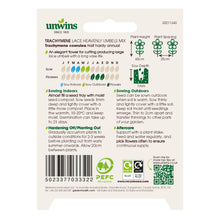 Load image into Gallery viewer, Trachymene Lace Heavenly Umbels Mix