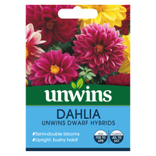Load image into Gallery viewer, Dahlia Unwins Dwarf Hybrids
