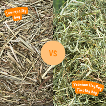 Load image into Gallery viewer, HayDay Tasty Timothy Hay