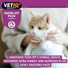 Load image into Gallery viewer, VETIQ Nutri-Vit Plus 70G