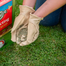 Load image into Gallery viewer, Westland Gro-Sure Fast Acting Lawn Seed 30m2 Box