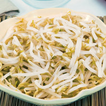 Load image into Gallery viewer, Sprouting Seeds Mung Bean