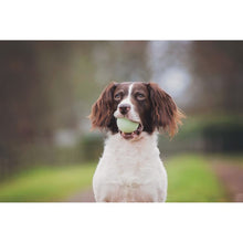 Load image into Gallery viewer, Chuckit! Fetch Medley 3 Pack Assorted Small 4.8cm