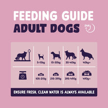 Load image into Gallery viewer, Burgess Sensitive Adult Dog Food In Salmon 2kg Or 12.5kg