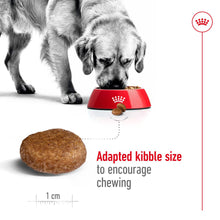 Load image into Gallery viewer, Royal Canin Maxi Adult 5+ Dry Dog Food - All Sizes