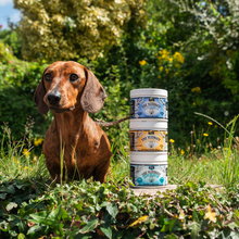 Load image into Gallery viewer, Proflax Superchew Skin, Gut & Immune