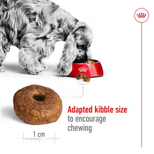 Load image into Gallery viewer, Royal Canin Dog Medium Ageing 10+ 3kg