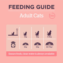 Load image into Gallery viewer, Burgess Adult Cat Scottish Salmon Dried Food