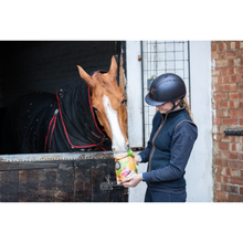 Load image into Gallery viewer, Equilibrium Simply Irresistible Horse Treat- Various Flavours