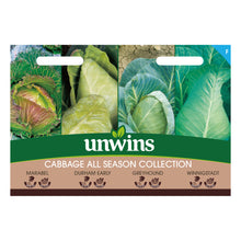 Load image into Gallery viewer, Cabbage All Season Collection Pack