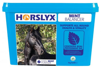 Load image into Gallery viewer, Horslyx Balancer Lick 5kg- Various