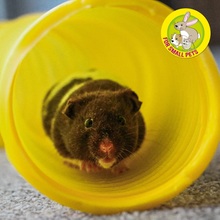 Load image into Gallery viewer, Ancol J4P Tuff Tube