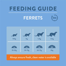 Load image into Gallery viewer, Burgess Excel Small Animal Ferret Food Nuggets 2kg