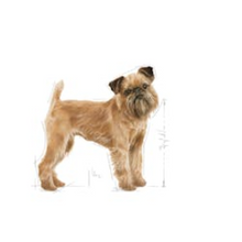 Load image into Gallery viewer, Royal Canin CCN Mini Dental Care Dog Food 3kg