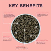 Load image into Gallery viewer, Burgess Adult Cat Scottish Salmon Dried Food