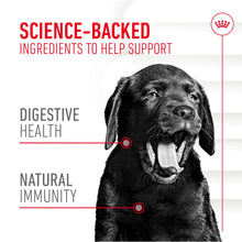 Load image into Gallery viewer, Royal Canin Adult Digestion Supplement 160g