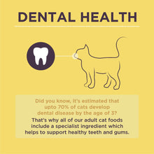 Load image into Gallery viewer, Burgess Nutritional Adult Cat Chicken and Duck Dried Food