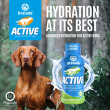 Load image into Gallery viewer, Oralade Active Isotonic Hydration Fluid For Dogs 250ml