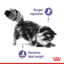 Load image into Gallery viewer, Royal Canin Appetite Control Care Cat Food 400g