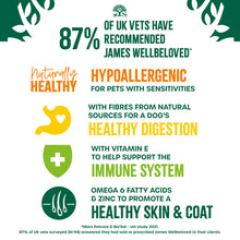 Load image into Gallery viewer, James Wellbeloved Adult Turkey Food Lamb in Gravy Pouch 48 x 90g