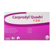 Load image into Gallery viewer, Ceva Carprodyl Tablets For Dogs Tablets