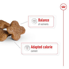 Load image into Gallery viewer, Royal Canin Mini Adult Dog Food 8+ 8kg