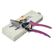 Load image into Gallery viewer, Burgon & Ball Asteraceae Secateurs