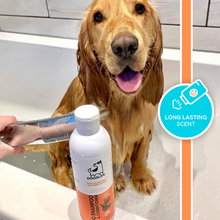 Load image into Gallery viewer, Dogs Life Shampoo & Conditioner