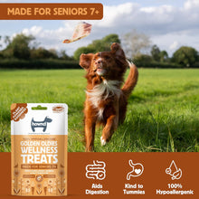 Load image into Gallery viewer, Hownd Golden Oldies Wellness Treats 100g