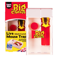 Load image into Gallery viewer, The Big Cheese Live Multi-Catch Mouse Trap