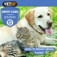 Load image into Gallery viewer, VETIQ Denti-Care Solution 250ML