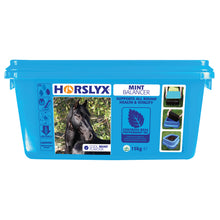Load image into Gallery viewer, Horslyx Balancer Lick 15kg