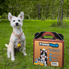 Load image into Gallery viewer, DoggyRade TravelPack Kit For Dogs Prebiotic Drinks & Treats