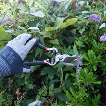 Load image into Gallery viewer, Spear & Jackson Bypass Secateurs + Folding Knife in Soft Holster Set