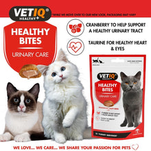 Load image into Gallery viewer, VETIQ Healthy Bites For Cats Variety Pack, 4 x 65G