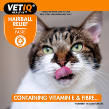 Load image into Gallery viewer, VETIQ Hairball Relief 70G