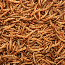 Load image into Gallery viewer, Copdock Mill Dried Mealworms Tubs 1kg