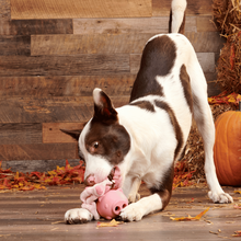 Load image into Gallery viewer, Bark Hambone Dog Toy