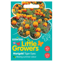 Load image into Gallery viewer, Little Growers Marigold Tiger Eyes