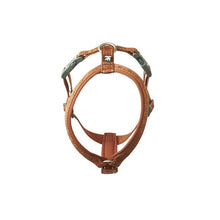 Load image into Gallery viewer, Hurtta Casual Y-Harness ECO Cinnamon 45-55