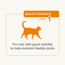 Load image into Gallery viewer, Beaphar Flexifit Cat Bits Daily Treat Joint Supplement
