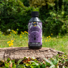 Load image into Gallery viewer, Proflax Kidney Care Tincture Supplement