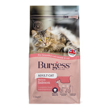 Load image into Gallery viewer, Burgess Adult Cat Scottish Salmon Dried Food