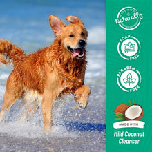 Load image into Gallery viewer, TropiClean Oatmeal and Tea Tree Shampoo 355ml