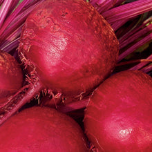 Load image into Gallery viewer, Beetroot Boltardy