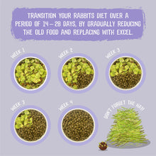 Load image into Gallery viewer, Burgess Excel Light Rabbit Food Nuggets With Mint 1.5kg